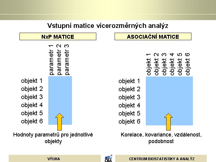 Vstupní matice vícerozměrných analýz Nx. P MATICE ASOCIAČNÍ MATICE Hodnoty parametrů pro jednotlivé objekty