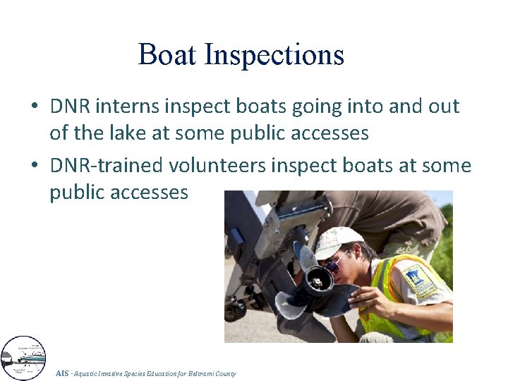 Boat Inspections • DNR interns inspect boats going into and out of the lake