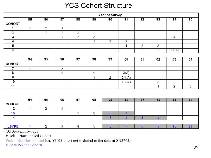 YCS Cohort Structure 22 YCS Cohort Structure 22
