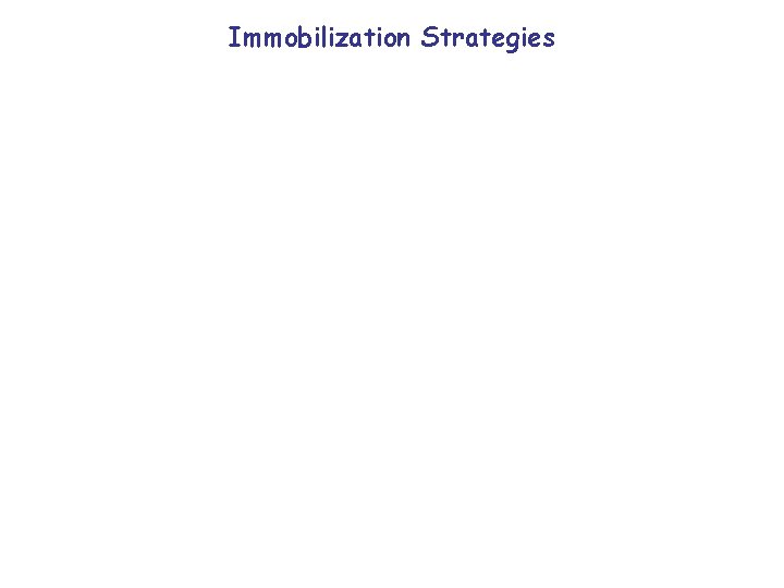 Immobilization Strategies 