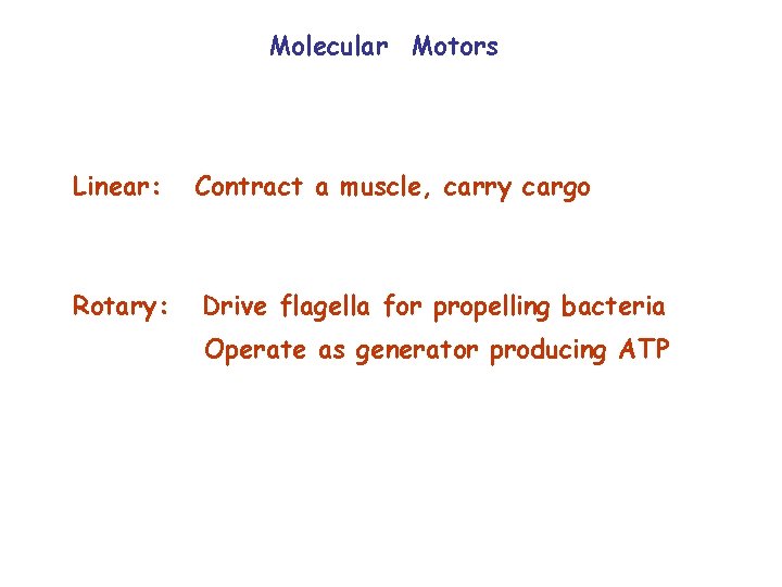 Molecular Motors Linear: Contract a muscle, carry cargo Rotary: Drive flagella for propelling bacteria