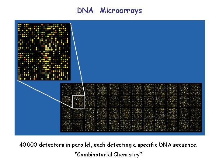 DNA Microarrays 40 000 detectors in parallel, each detecting a specific DNA sequence. “Combinatorial