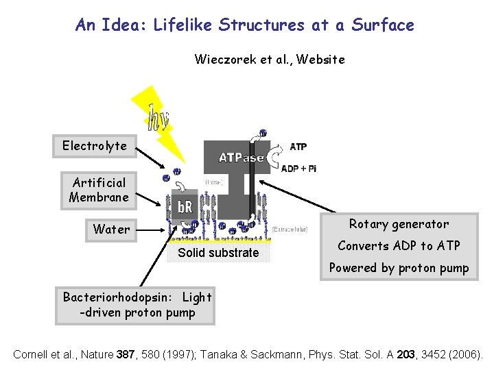 An Idea: Lifelike Structures at a Surface Wieczorek et al. , Website Electrolyte Artificial An Idea: Lifelike Structures at a Surface Wieczorek et al. , Website Electrolyte Artificial