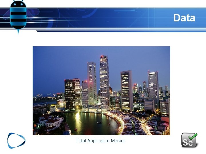 Data Total Application Market 