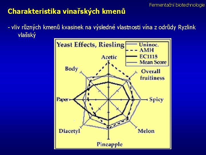 Charakteristika vinařských kmenů Fermentační biotechnologie - vliv různých kmenů kvasinek na výsledné vlastnosti vína