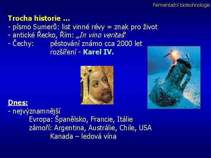 Fermentační biotechnologie Trocha historie … - písmo Sumerů: list vinné révy = znak pro