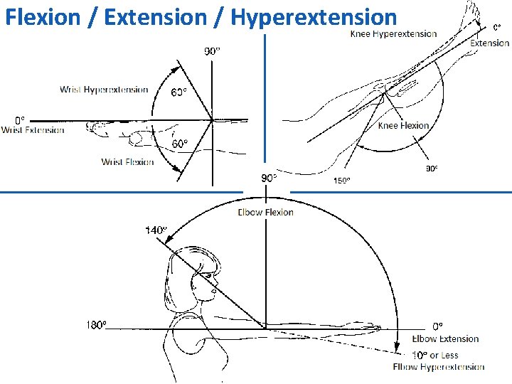 Flexion / Extension / Hyperextension 