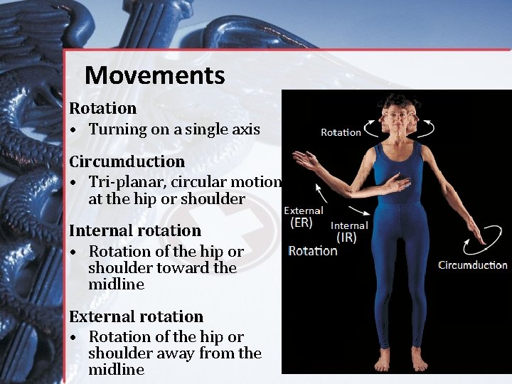 Movements Rotation • Turning on a single axis Circumduction • Tri-planar, circular motion at