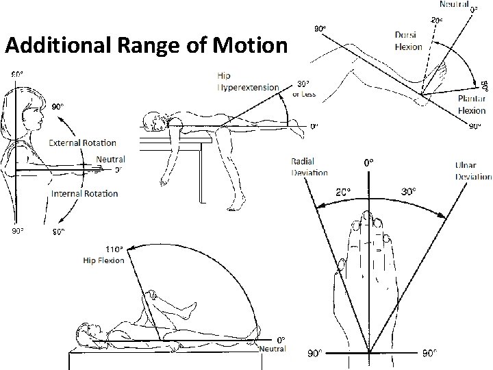 Additional Range of Motion 