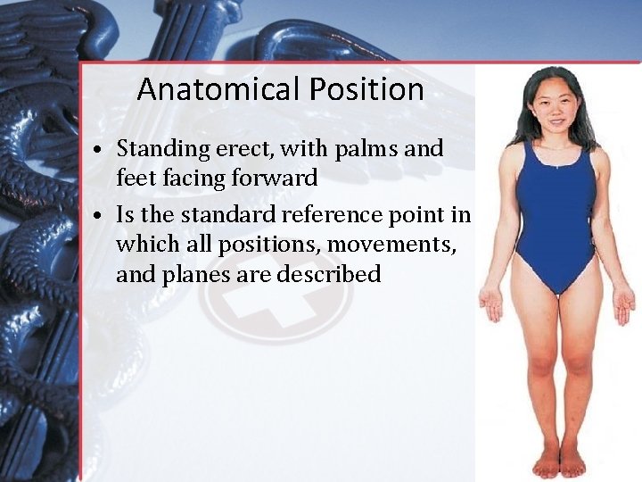 Anatomical Position • Standing erect, with palms and feet facing forward • Is the