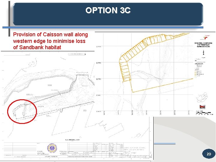 OPTION 3 C Provision of Caisson wall along western edge to minimise loss of