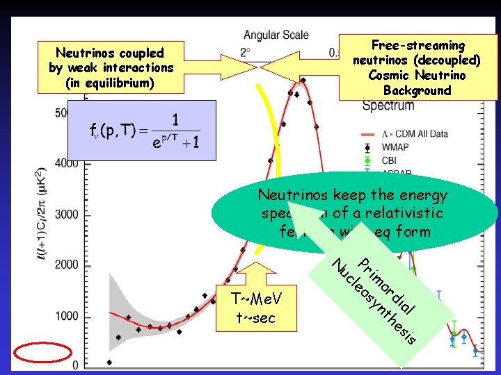 Free-streaming neutrinos (decoupled) Cosmic Neutrino Background Neutrinos coupled by weak interactions (in equilibrium) Neutrinos