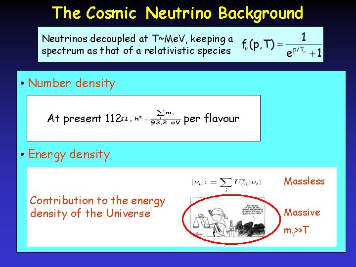 The Cosmic Neutrino Background Neutrinos decoupled at T~Me. V, keeping a spectrum as that