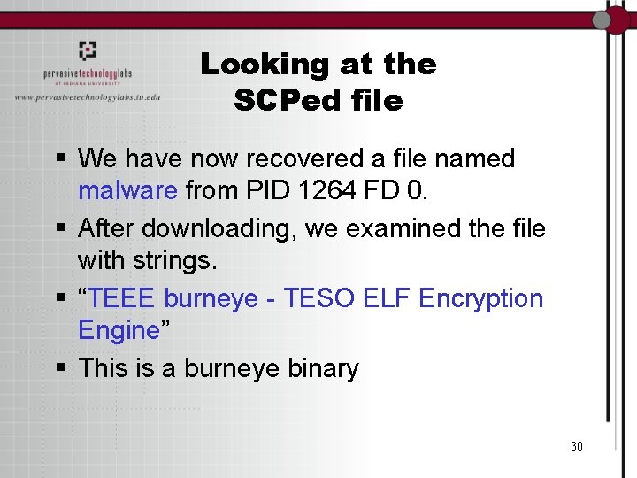 Looking at the SCPed file § We have now recovered a file named malware