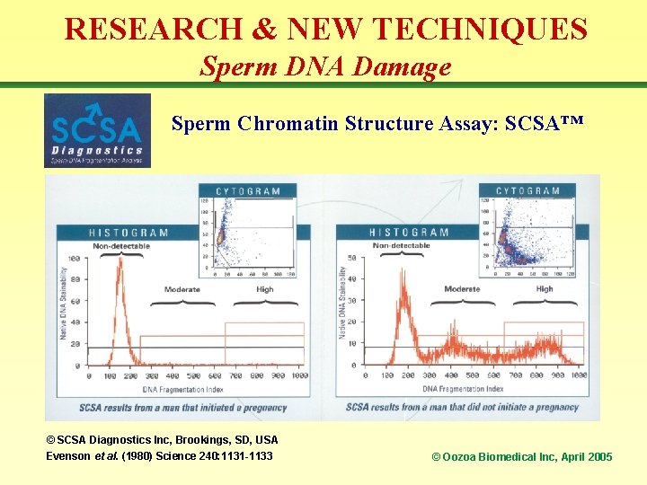 RESEARCH & NEW TECHNIQUES Sperm DNA Damage Sperm Chromatin Structure Assay: SCSA™ © SCSA