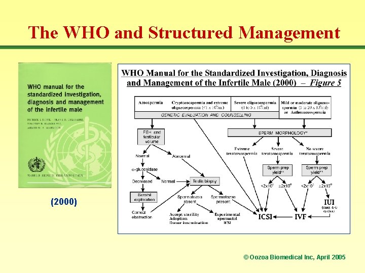 The WHO and Structured Management (2000) © Oozoa Biomedical Inc, April 2005 