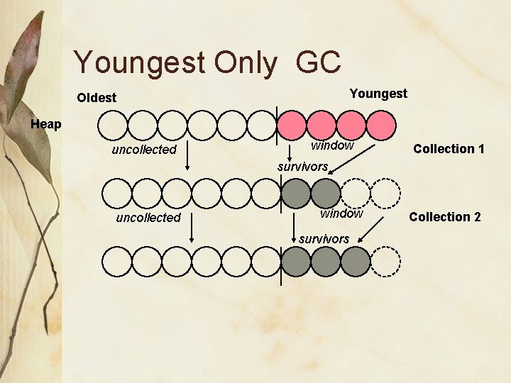 Youngest Only GC Youngest Oldest Heap uncollected window Collection 1 survivors uncollected window survivors
