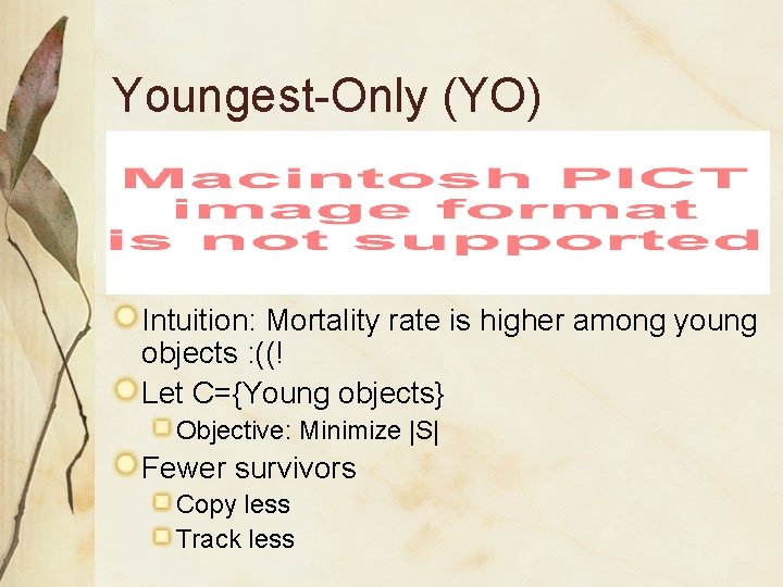 Youngest-Only (YO) Intuition: Mortality rate is higher among young objects : ((! Let C={Young