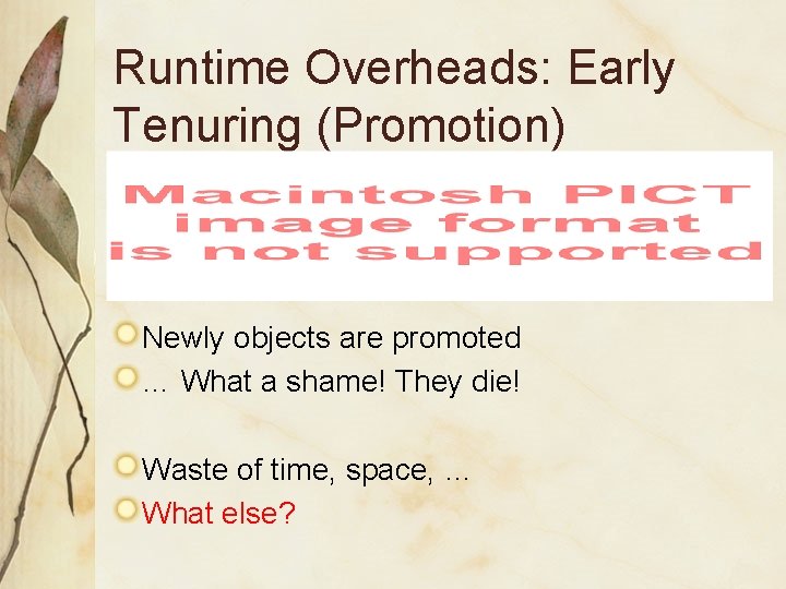 Runtime Overheads: Early Tenuring (Promotion) Newly objects are promoted … What a shame! They