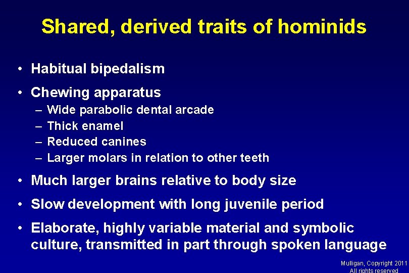 Shared, derived traits of hominids • Habitual bipedalism • Chewing apparatus – – Wide