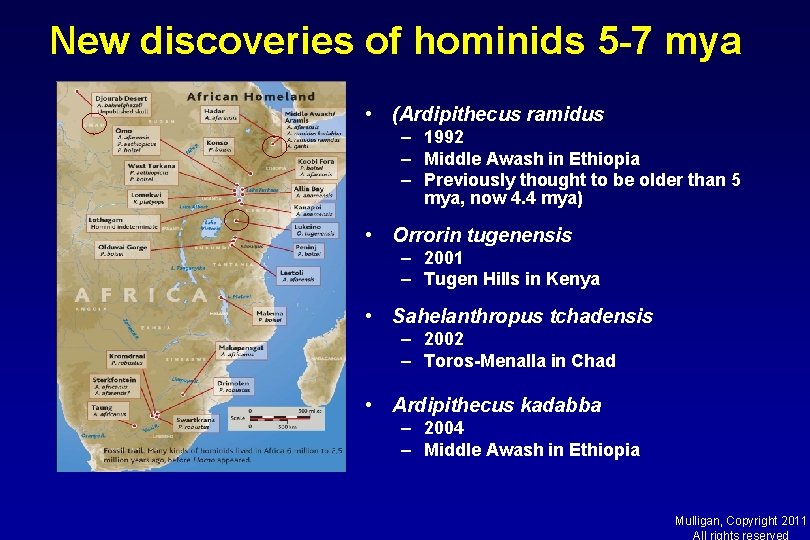 New discoveries of hominids 5 -7 mya • (Ardipithecus ramidus – 1992 – Middle