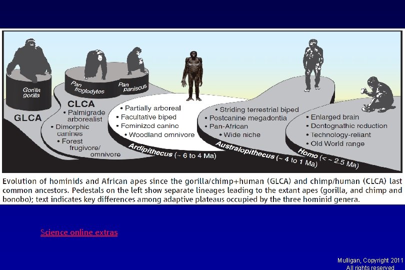 Science online extras Mulligan, Copyright 2011 All rights reserved 