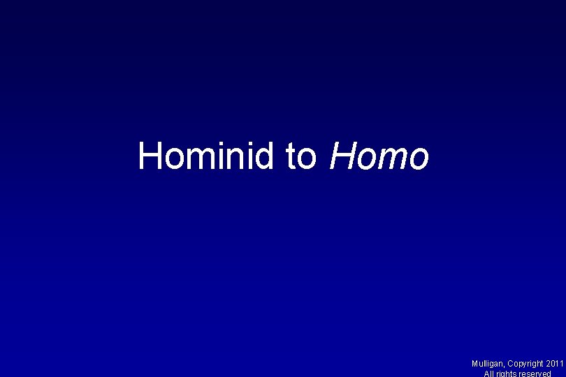 Hominid to Homo Mulligan, Copyright 2011 All rights reserved 