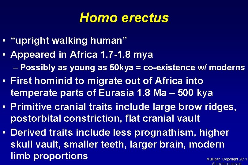 Homo erectus • “upright walking human” • Appeared in Africa 1. 7 -1. 8