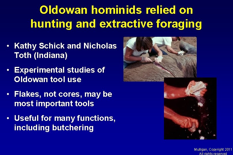 Oldowan hominids relied on hunting and extractive foraging • Kathy Schick and Nicholas Toth