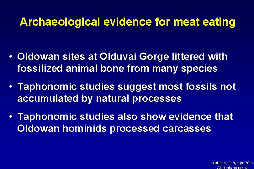 Archaeological evidence for meat eating • Oldowan sites at Olduvai Gorge littered with fossilized