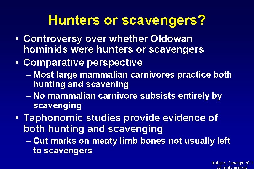 Hunters or scavengers? • Controversy over whether Oldowan hominids were hunters or scavengers •