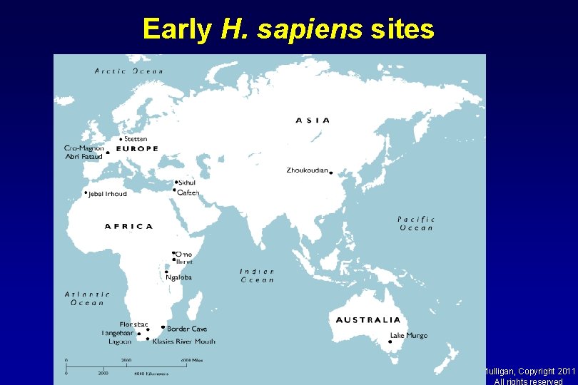 Early H. sapiens sites Mulligan, Copyright 2011 All rights reserved 