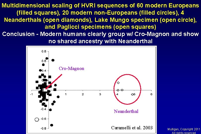 Multidimensional scaling of HVRI sequences of 60 modern Europeans (filled squares), 20 modern non-Europeans