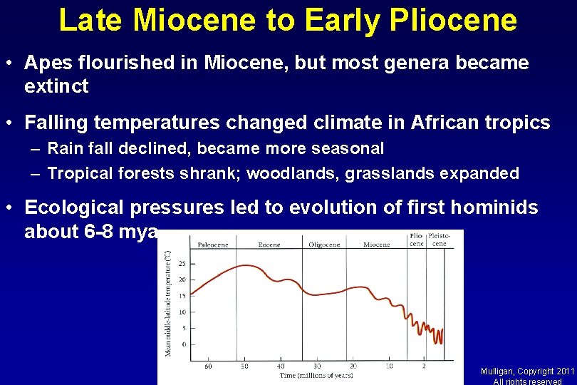 Late Miocene to Early Pliocene • Apes flourished in Miocene, but most genera became