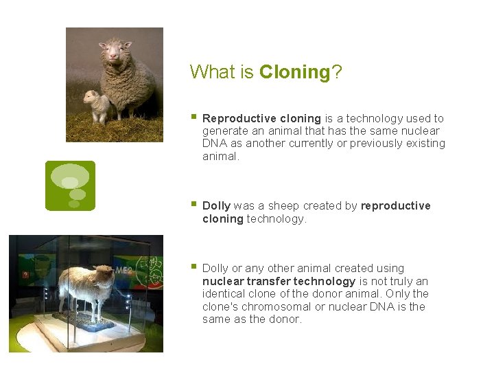 What is Cloning? § Reproductive cloning is a technology used to generate an animal