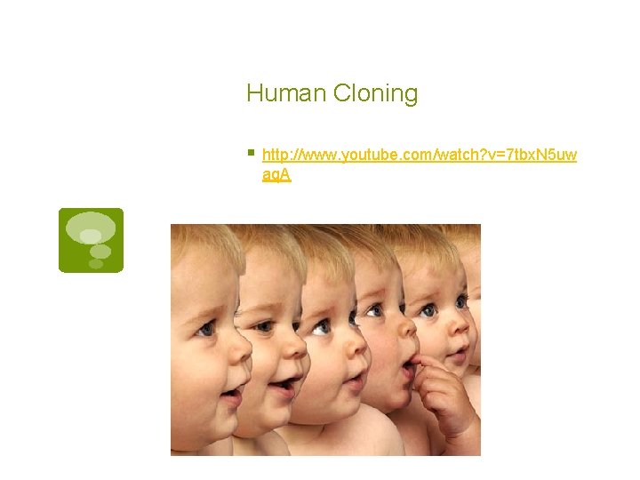 Human Cloning § http: //www. youtube. com/watch? v=7 tbx. N 5 uw aq. A