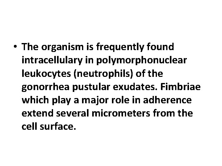  • The organism is frequently found intracellulary in polymorphonuclear leukocytes (neutrophils) of the