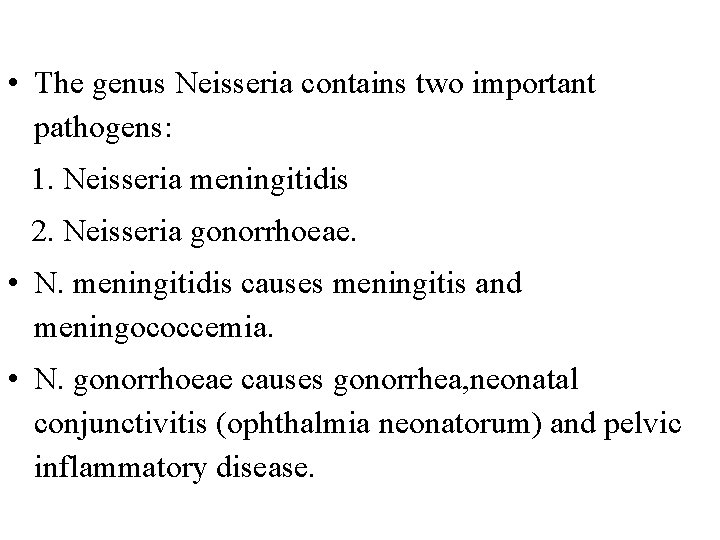  • The genus Neisseria contains two important pathogens: 1. Neisseria meningitidis 2. Neisseria