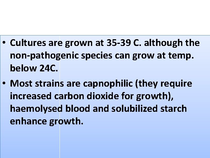  • Cultures are grown at 35 -39 C. although the non-pathogenic species can