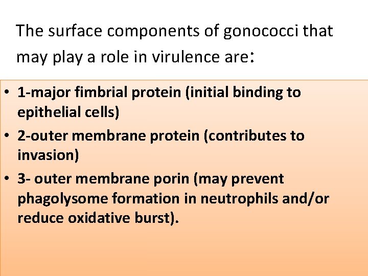 The surface components of gonococci that may play a role in virulence are: •