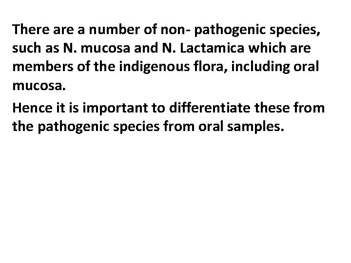 There a number of non- pathogenic species, such as N. mucosa and N. Lactamica