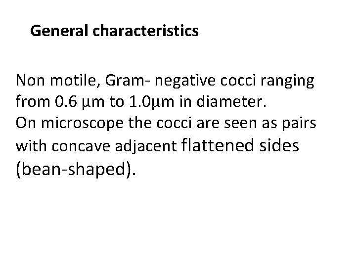 General characteristics Non motile, Gram- negative cocci ranging from 0. 6 μm to 1.