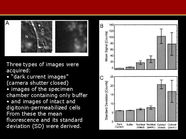 Three types of images were acquired: • “dark current images” (camera shutter closed) •