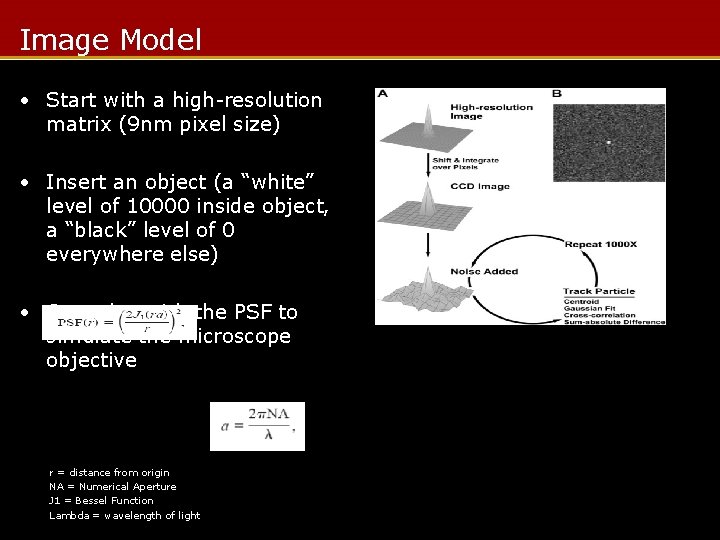 Image Model • Start with a high-resolution matrix (9 nm pixel size) • Insert