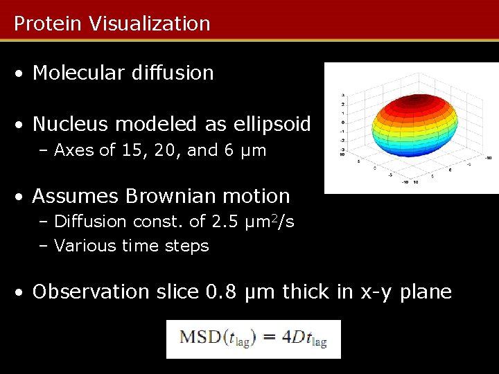Protein Visualization • Molecular diffusion • Nucleus modeled as ellipsoid – Axes of 15,