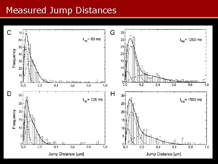 Measured Jump Distances 