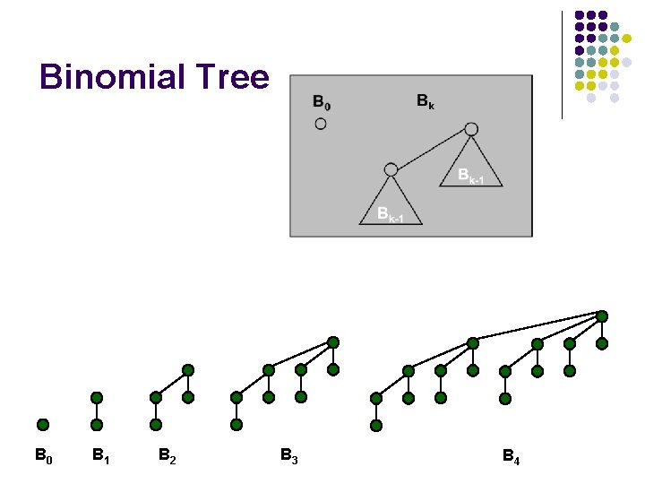 Binomial Tree B 0 B 1 B 2 B 3 B 4 
