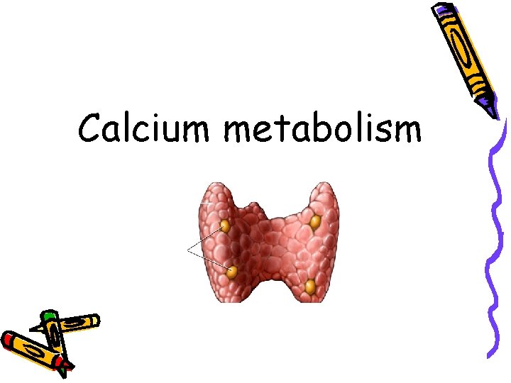 Calcium metabolism 