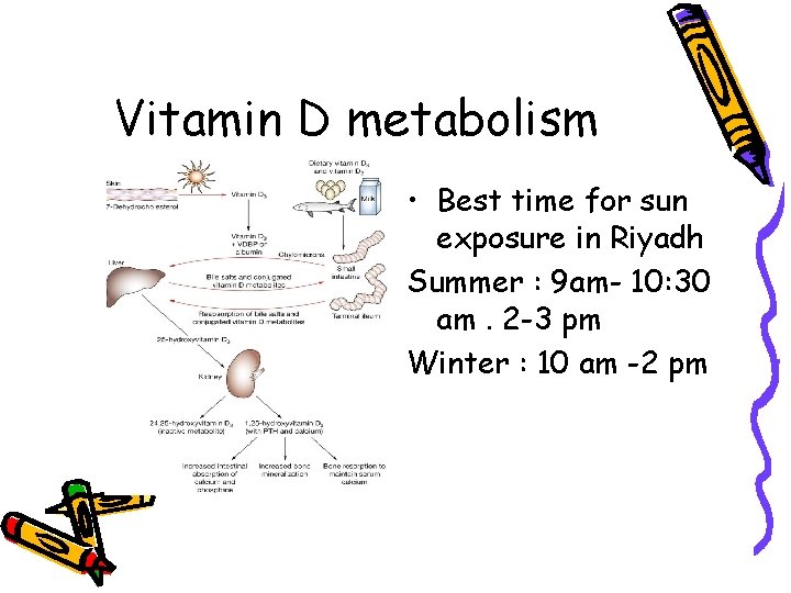 Vitamin D metabolism • Best time for sun exposure in Riyadh Summer : 9
