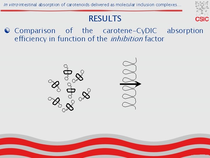 In vitro intestinal absorption of carotenoids delivered as molecular inclusion complexes… RESULTS [ Comparison